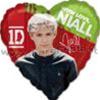 PALLONE ONE DIRECTION - NIALL