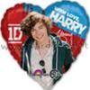 PALLONE ONE DIRECTION - HARRY