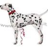 PALLONE "DALMATA - DALMATLAN" SUPER SHAPE