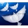 PALLONCINO MATRIMONIO  COLOMBA - DOVE - BIANCA GONFIABILE 100% BIO