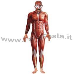 COSTUME ANATOMICO, CON BODY E MASCHERA