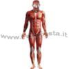 COSTUME ANATOMICO, CON BODY E MASCHERA